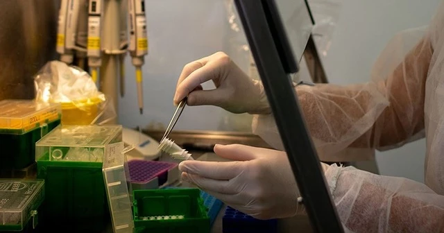 Çin'de yetersiz ve hatalı test iddiası