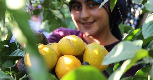 Dalında 1,5 markette 8 lira