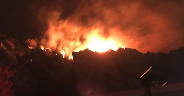 Hatay’da çıkan yangın söndürüldü