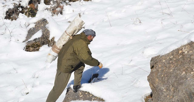 Karlı dağlarda zorlu yaşam: Yazın topladıkları samanları kışın köye indiriyorlar