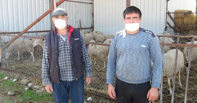 Korona virüslü olduğu gözaltına alınınca anlaşıldı