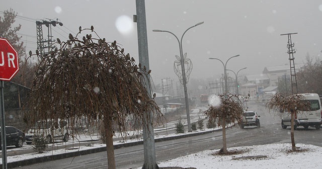 Malazgirt’te mevsimin ilk karı yağdı