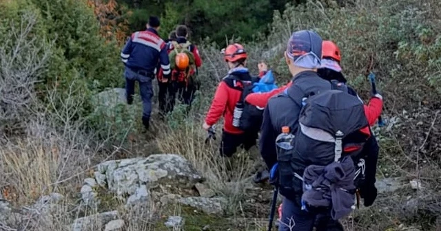 Ormanda kaybolan yaşlı kadın aranıyor