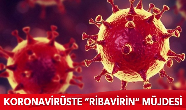 Ribavirin molekülünün Kovid-19 etkilerini azalttığı tespit edildi