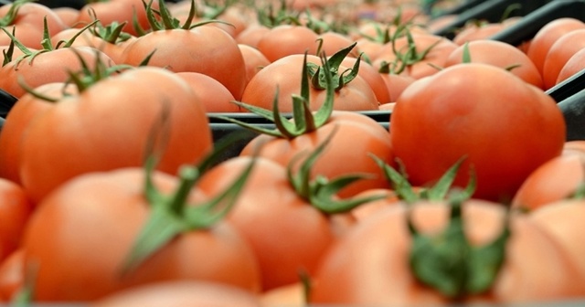 Rusya, Azerbaycan&#039;dan domates ve elma alımını yasakladı