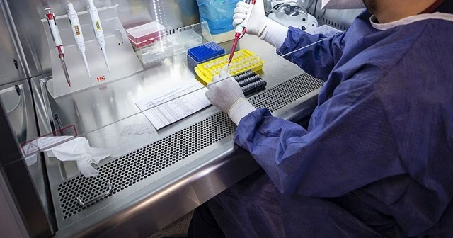 Sağlık Bakanı Koca'dan negatif PCR testi zorunluluğu açıklaması
