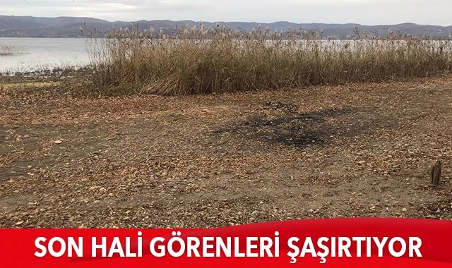 Sapanca Gölü’nün son hali görenleri şaşırtıyor