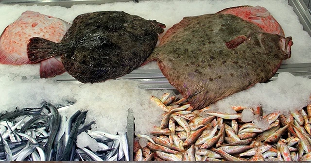 Tezgahta yerini aldı: Kilosu 200 lira