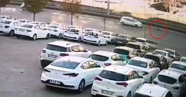 Yola atlayan kedi zincirleme kazaya neden oldu