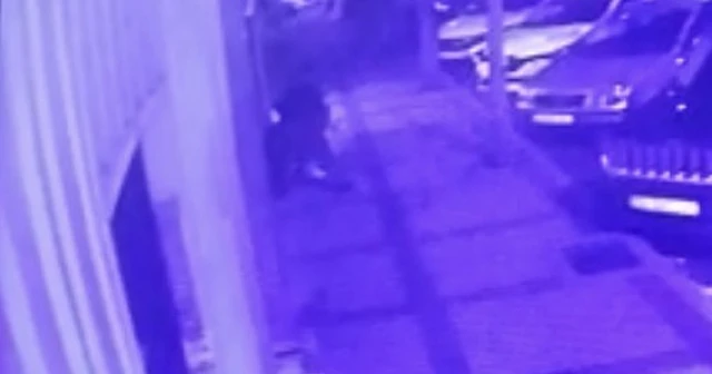 3 kişiyi bıçaklayan kağıt toplayıcısı yakalandı