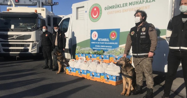 Ambarlı Limanı&#039;nda muz konteynerinden uyuşturucu fışkırdı