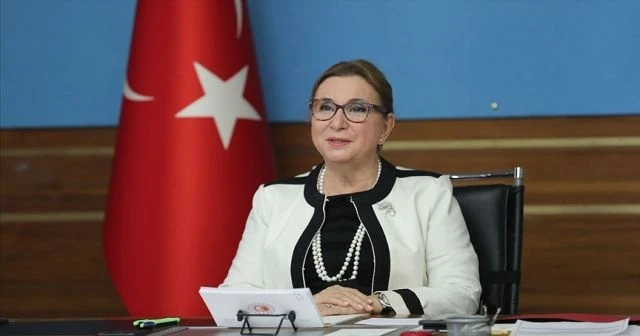 Bakan Pekcan: Geçen yıl 4 milyar 403 milyon liralık kaçak eşya yakalaması gerçekleştirdik