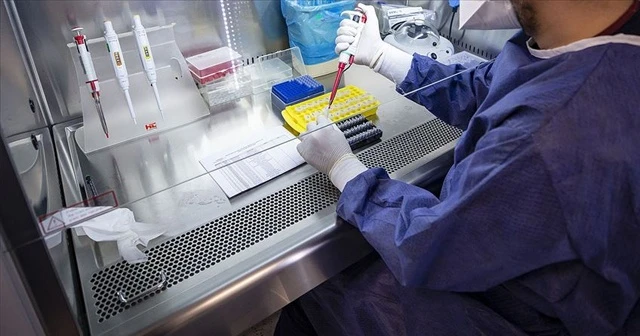 Barış Pınarı bölgesinde PCR laboratuvarı kuruldu
