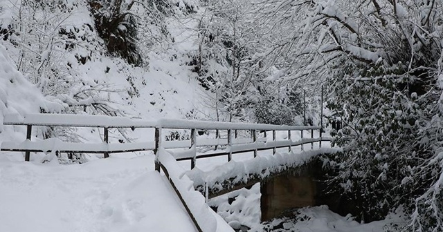 Doğu Karadeniz&#039;de kar yağışı etkili oluyor