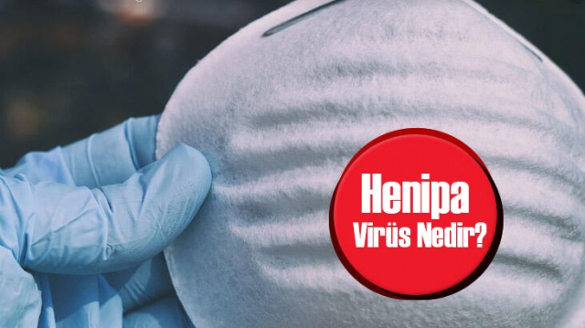 Henipavirüs Nedir? Henipavirüs Nasıl Bulaşır?