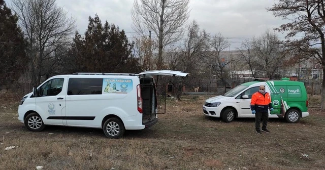 Köpek dövüştüren şahsa 26 bin TL para cezası