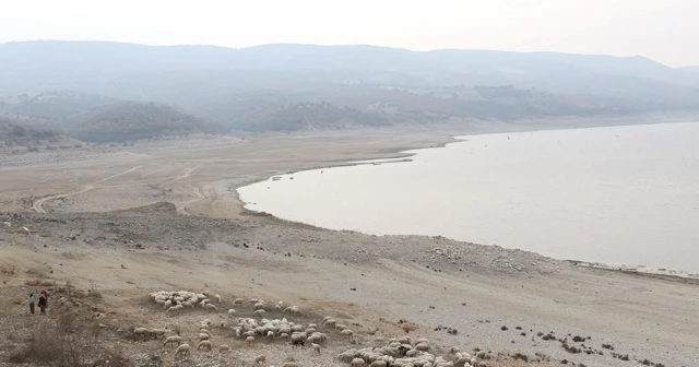 Kuraklık alarmı Malatya için de çalıyor