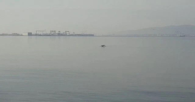 Ocak ayında denizin keyfini çıkardı