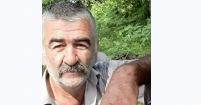 Odun keserken yuvarlanan şahıs hayatını kaybetti