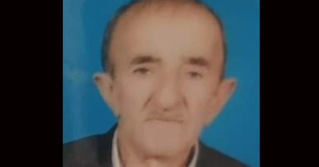 Ordu'da yaşlı kişi ormanlık alanda ölü bulundu