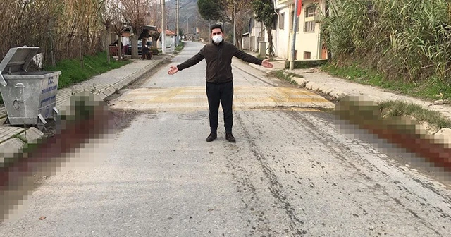 Sokak ortasından akan kanlı su paniğe neden oldu
