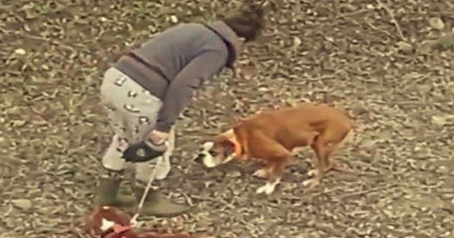 Sopayla köpeklerini döven kadına ’mala zarar verme’ suçundan işlem yapıldı