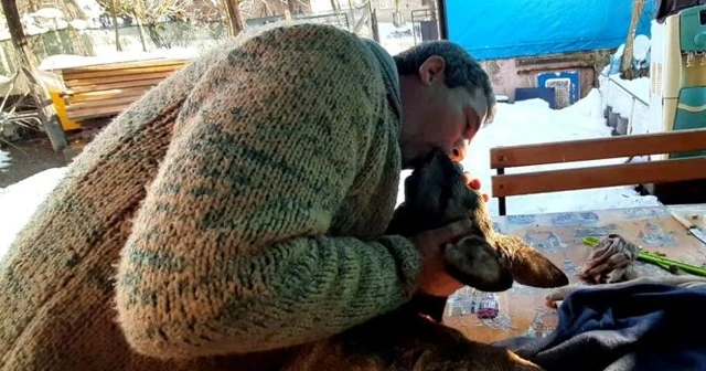 Yaralı karacayı hayata döndürmek için suni teneffüs ve kalp masajı yaptı