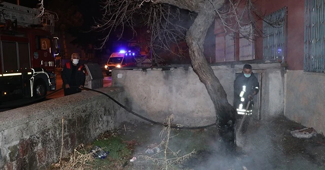 Bahçesindeki ağacı yakmaya çalışan bir kişi komşularının şikayetiyle gözaltına alındı