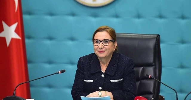 Bakan Pekcan: Yalnızca hizmet ihracatı için faaliyet gösterecek yeni bir Genel Sekreterlik kurduk