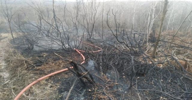 Beykoz&#039;da havaya açılan ateş ormanlık alanı yaktı