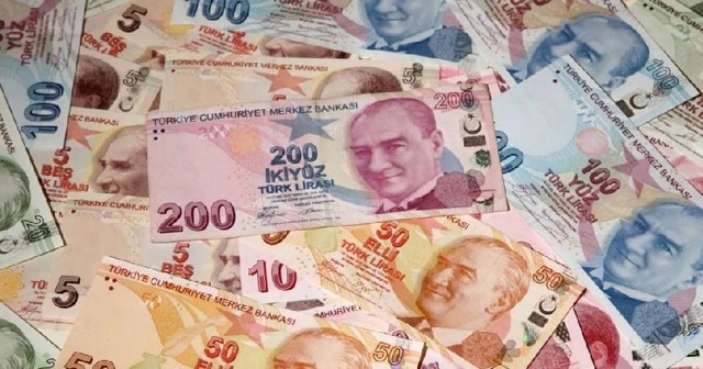 Capital Economics'ten Türk Lirası'na büyük övgü