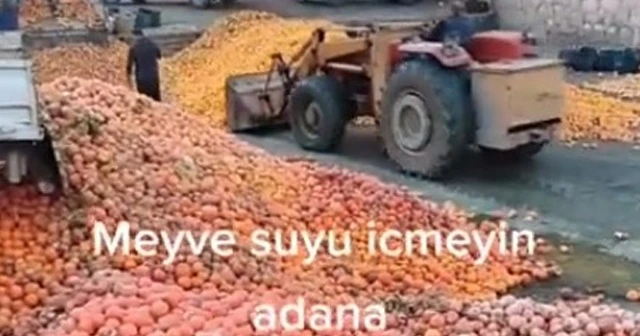 Çürümüş meyvelerin meyve suyu olmadığı ortaya çıktı