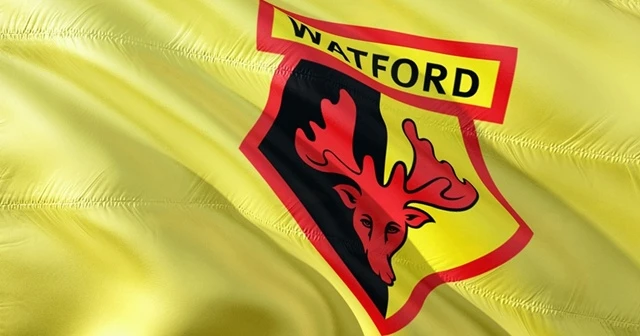 Dennis Bergkamp'ın oğlu Watford ile anlaştı