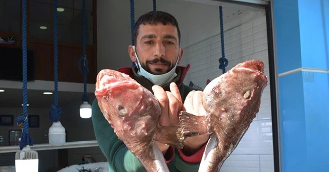 Görenleri hem korkuttu hem şaşırttı