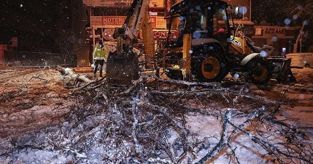 İstanbul'da bazı bölgelerde ağaçlar devrildi