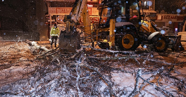 İstanbul&#039;da kar yağışı nedeniyle bazı bölgelerde ağaçlar devrildi