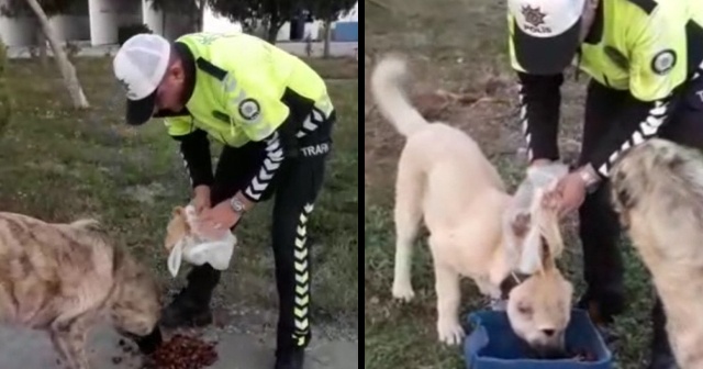 Polisimizin yürek ısıtan hayvan sevgisi