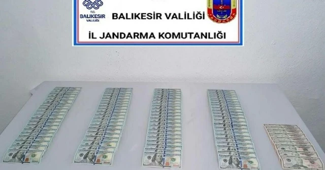 Sahte dolarla ceviz fidanı almak isterken suçüstü yakalandı