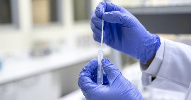 Sahte negatif test sonucu satan şebeke çökertildi