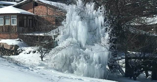 Su borusu patladı, buzdan ağaca dönüştü