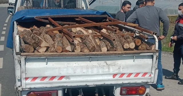 "Oğlun odun aldı" yalanıyla yaşlı kadını evinde gasp ettiler