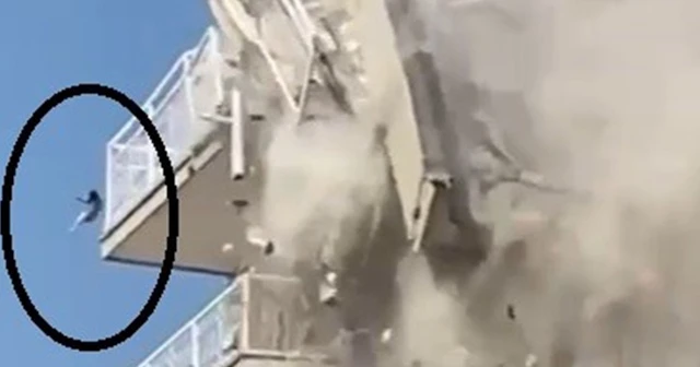 Bina yıkılırken düşen kedi ağır yaralandı