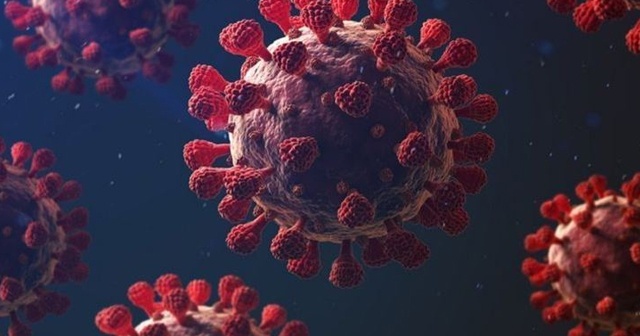 Fransa’da yeni mutant virüs tespit edildi