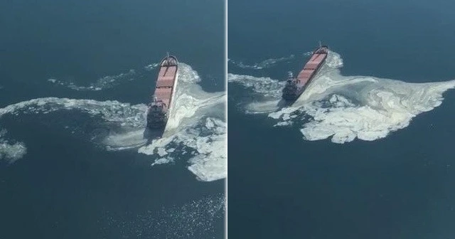 Gemlik Körfezi'ndeki kirliliğin sebebi belirlendi
