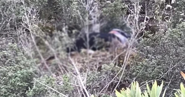 Kafası bedeninden ayrılmış ceset bulundu