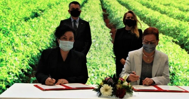 Kız Kardeşim Projesi 2021'de kadınları girişimciliğe hazırlayacak