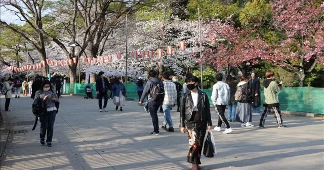 Koronavirüs salgınında son 24 saat