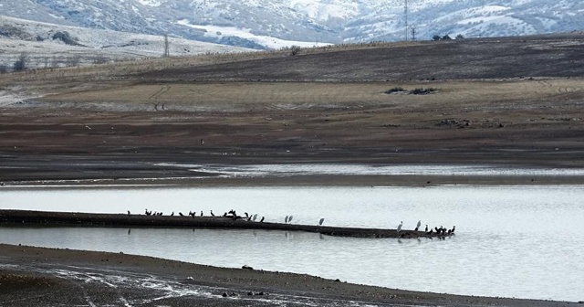 Kuraklık tehlikesindeki gölet kuş cennetine dönüştü