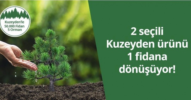 Kuzeyden 50 bin fidan ile 5 orman oluşturuyor