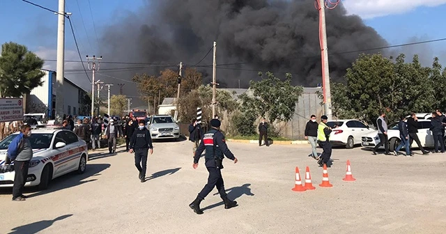 Mersin&#039;de muz sarartma tesisinde yangın